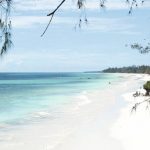 Cheap Holidays to Diani