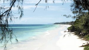 Cheap Holidays to Diani