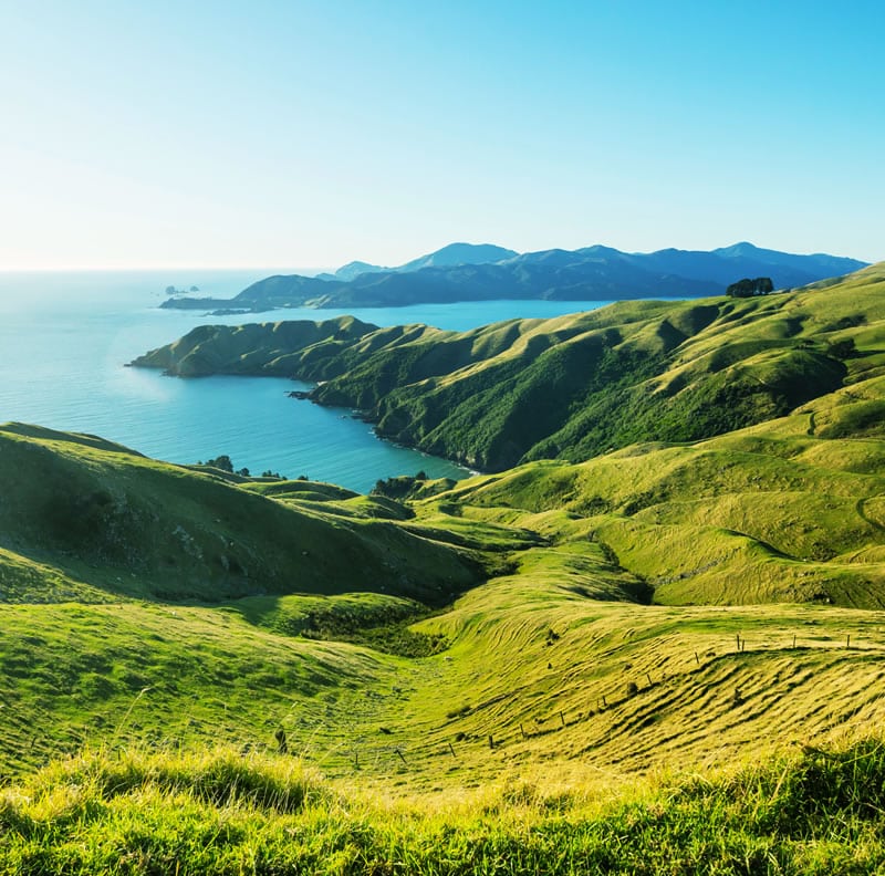 Experience the Wonders of New Zealand, Search4sun