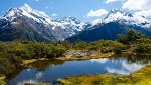 New Zealand Holidays